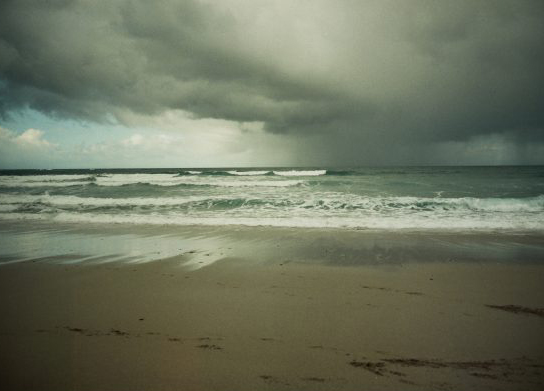 Eva Peeters